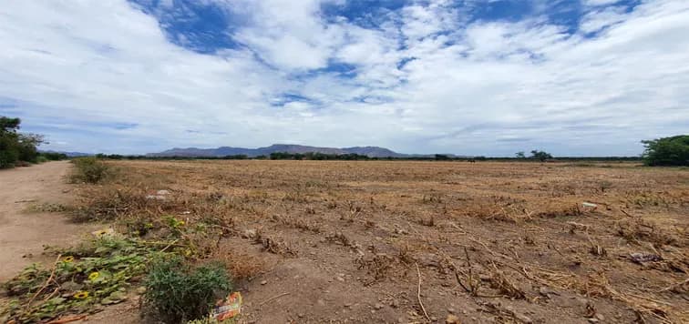 En Venta excelente Predio Agrícola, El Porvenir, San Miguel Zapotitlán.